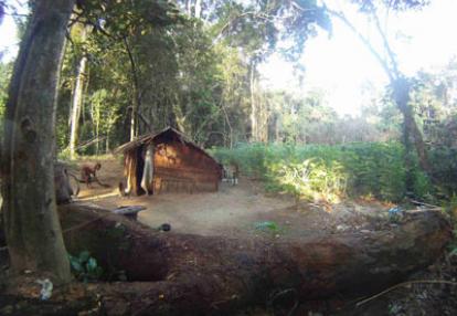 Voyage au Cameroun de Pierre