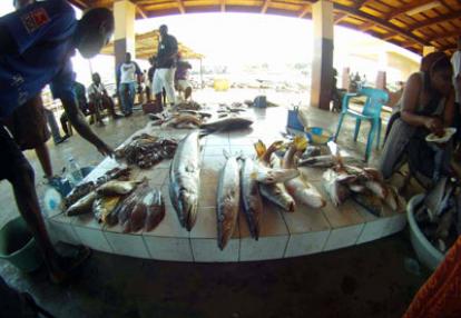 Voyage au Cameroun de Pierre