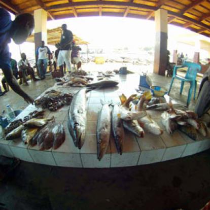 Voyage au Cameroun de Pierre