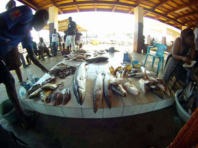 Voyage au Cameroun de Pierre