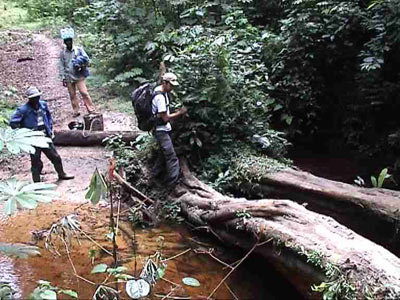 Voyage au Cameroun de Pierre