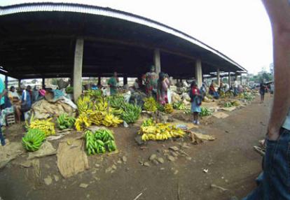 Voyage au Cameroun de Pierre