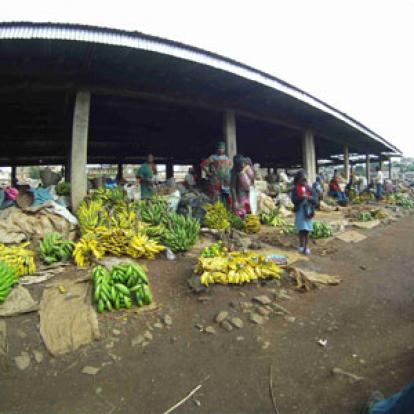 Voyage au Cameroun de Pierre