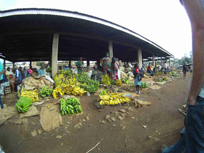 Voyage au Cameroun de Pierre