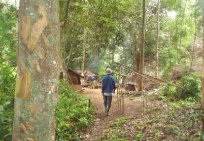 Voyage au Cameroun de Pierre