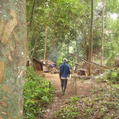 Voyage au Cameroun de Pierre