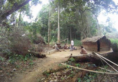 Voyage au Cameroun de Pierre