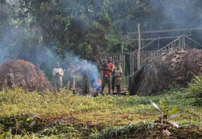 Village avec habitation pigme