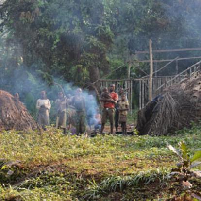 Village avec habitation pigme