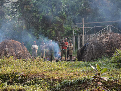 Village avec habitation pigme