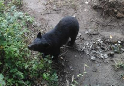 ©Stéphanie F - Tous Droits réservés