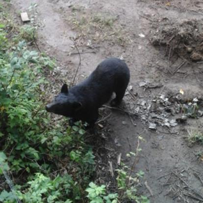 ©Stéphanie F - Tous Droits réservés