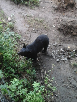 ©Stéphanie F - Tous Droits réservés