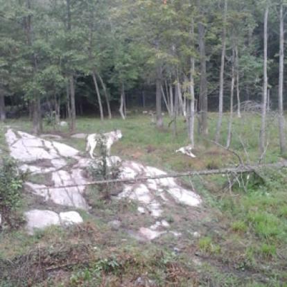 ©Stéphanie F - Tous Droits réservés