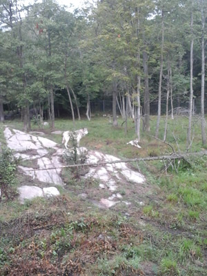 ©Stéphanie F - Tous Droits réservés