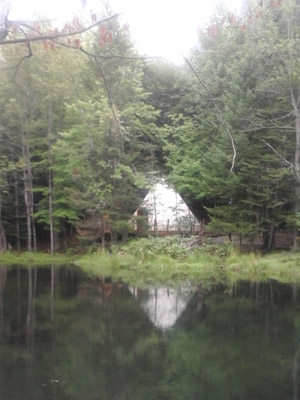 ©Stéphanie F - Tous Droits réservés