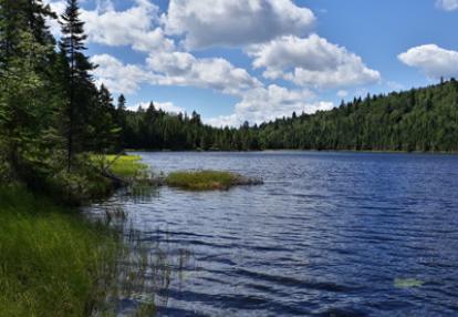 Le Voyage au Canada de Célia & Damien