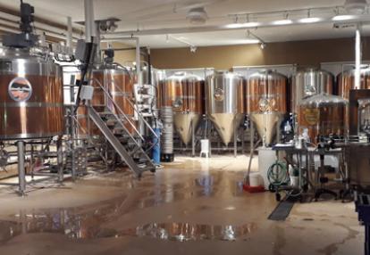 Le Voyage au Canada de Célia & Damien