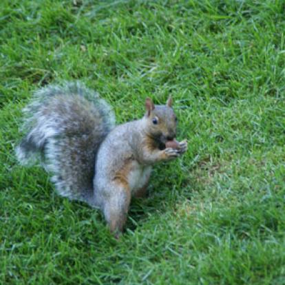 Voyage au Québec de Christian C.