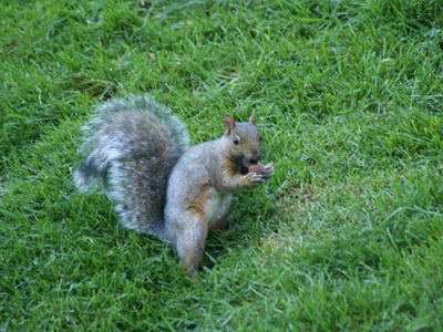 Voyage au Québec de Christian C.