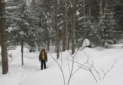Voyage au Québec de Yves L.