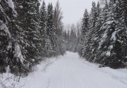 Voyage au Québec de Christian L.