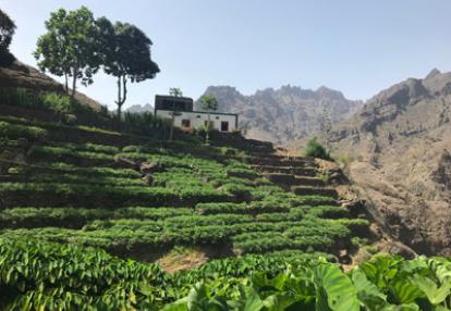 Voyage au Cap Vert de la Famille de Sébastien
