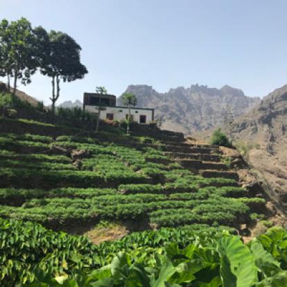 Voyage au Cap Vert de la Famille de Sébastien