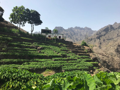 Voyage au Cap Vert de la Famille de Sébastien