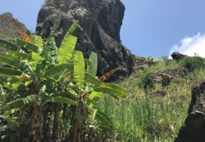 Voyage au Cap Vert de la Famille de Sébastien