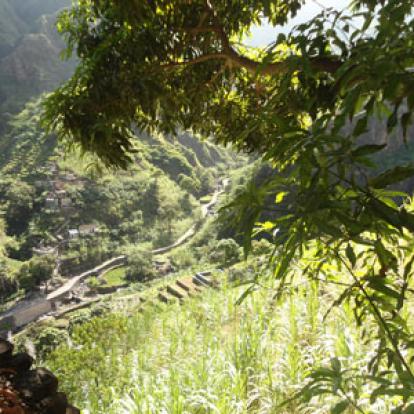 Voyage au Cap Vert de Flora
