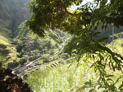 Voyage au Cap Vert de Flora