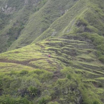 Voyage au Cap Vert de Flora