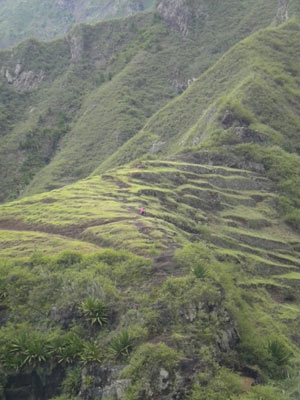 Voyage au Cap Vert de Flora