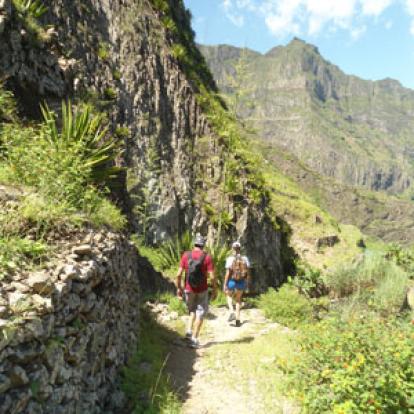 Voyage au Cap Vert de Flora