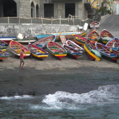 Voyage au Cap Vert de Flora