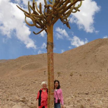 Voyage au Chili de Jeanine