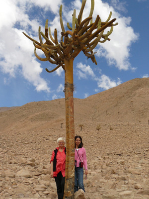 Voyage au Chili de Jeanine