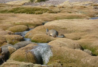 Voyage au Chili de Jeanine