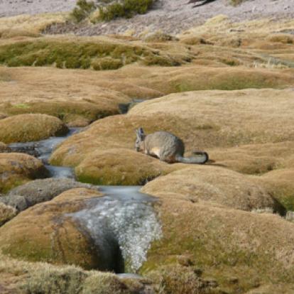 Voyage au Chili de Jeanine