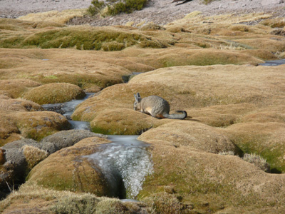 Voyage au Chili de Jeanine