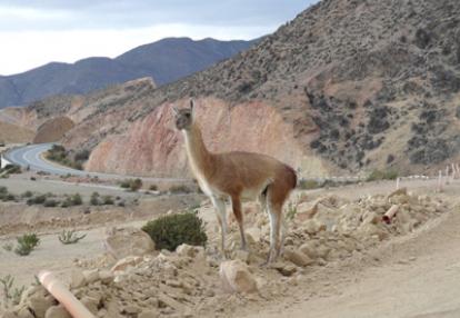 Voyage au Chili de Jeanine