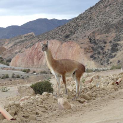 Voyage au Chili de Jeanine