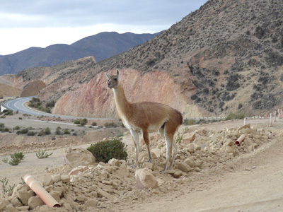 Voyage au Chili de Jeanine