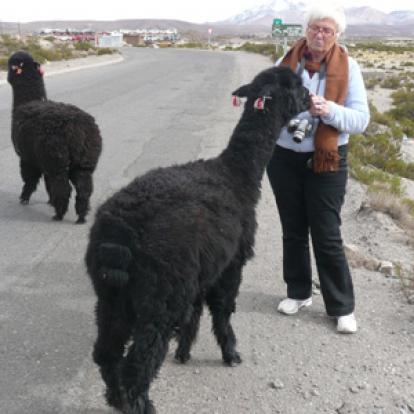 Voyage au Chili de Jeanine
