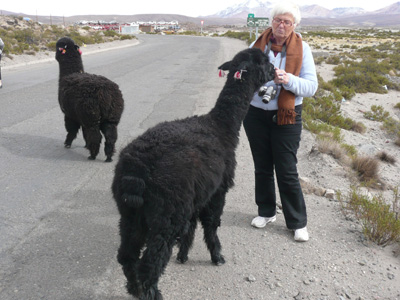Voyage au Chili de Jeanine