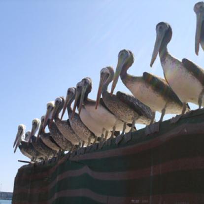 Voyage au Chili de Christine