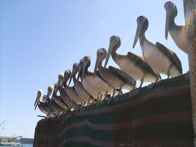 Voyage au Chili de Christine