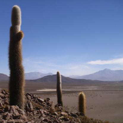 Voyage au Chili de Christine