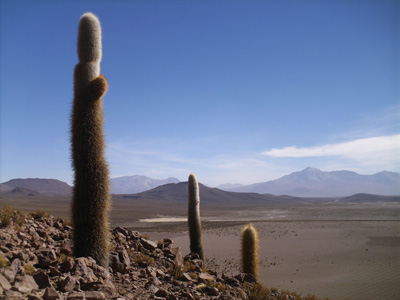 Voyage au Chili de Christine